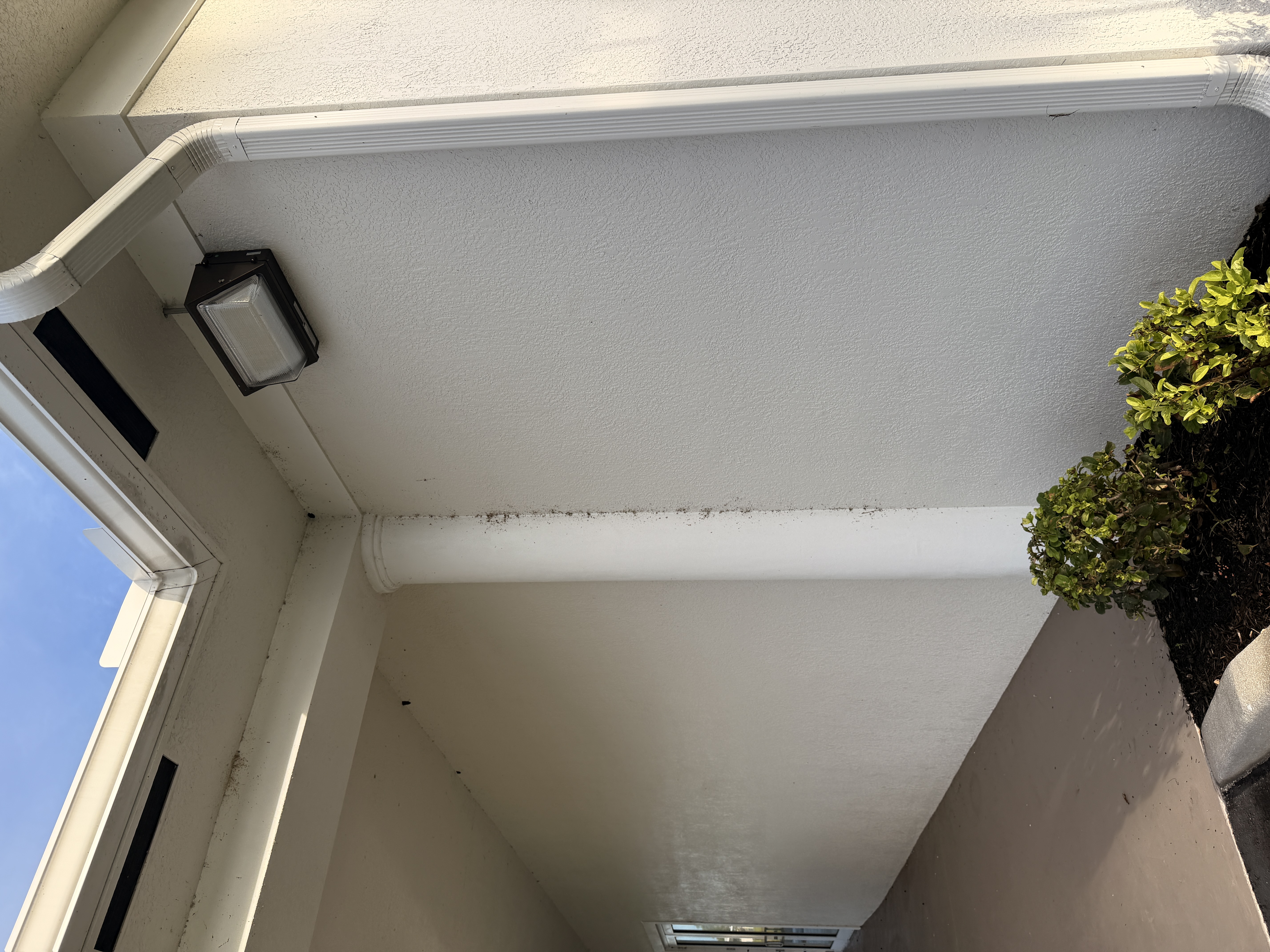 commercial building exterior before soft washing Treasure Coast FL