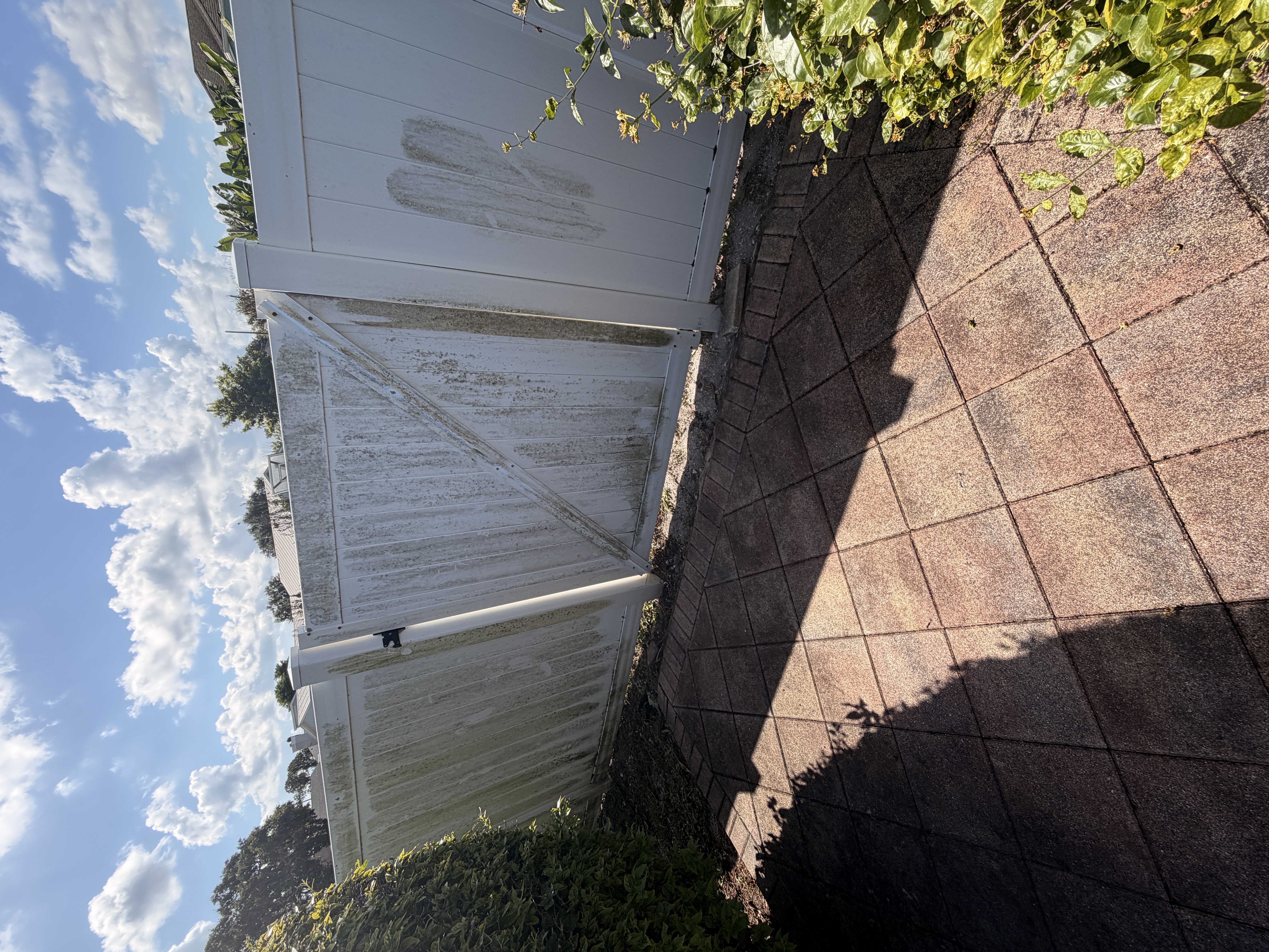 vinyl fence with algae before cleaning Port Saint Lucie FL