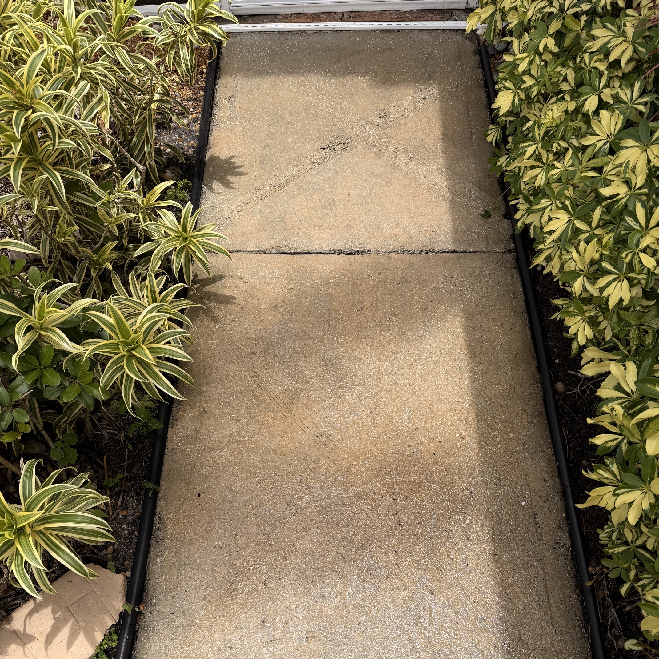 clean driveway after pressure washing Port Saint Lucie FL