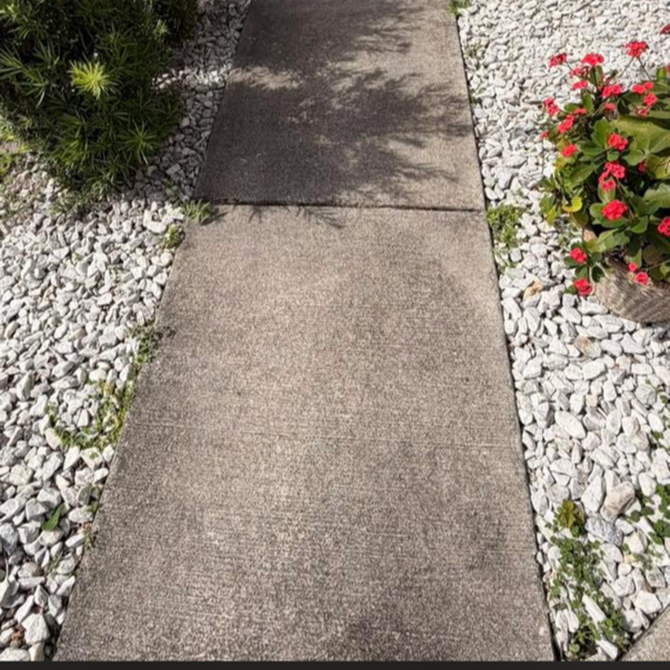 before soft wash Port Saint Lucie FL